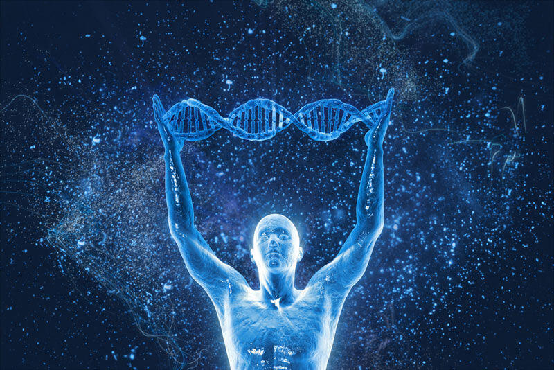 ADN-corps-humain SMC Consulting ADN de la science des données